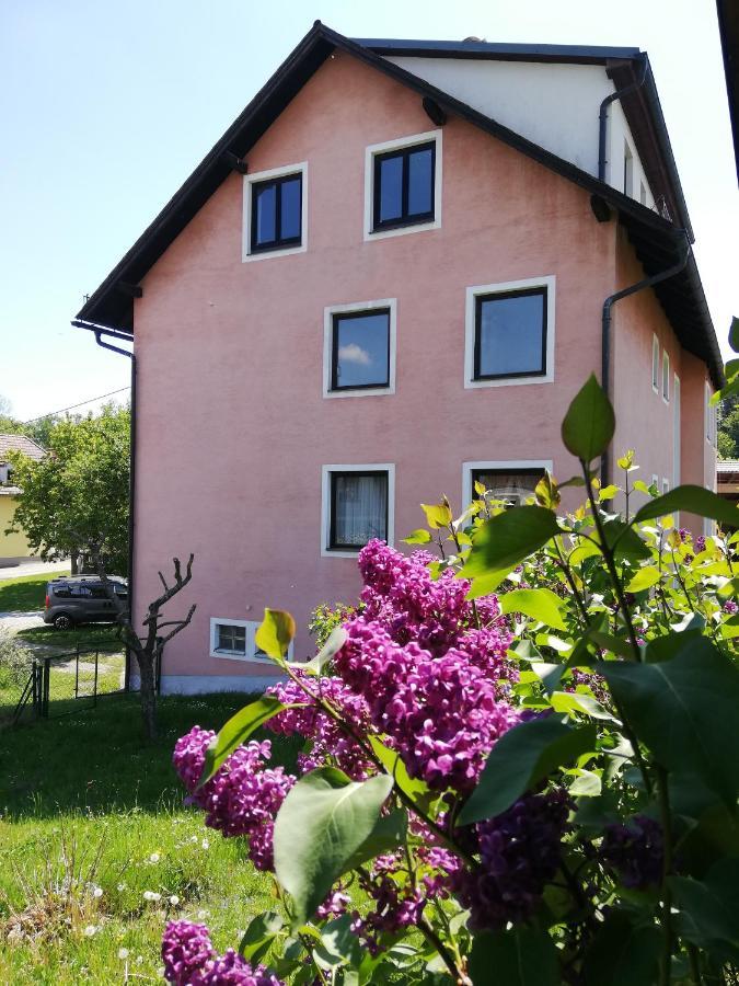 Feriendomizil Wachau Apartment Habruck ภายนอก รูปภาพ