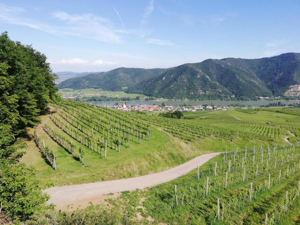 Feriendomizil Wachau Apartment Habruck ภายนอก รูปภาพ