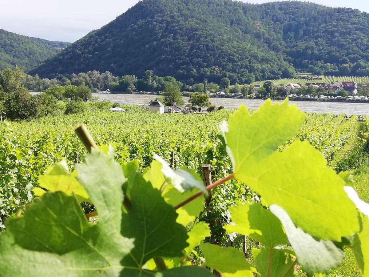 Feriendomizil Wachau Apartment Habruck ภายนอก รูปภาพ