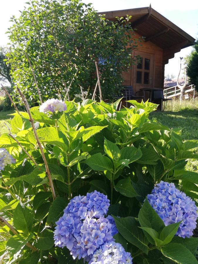 Feriendomizil Wachau Apartment Habruck ภายนอก รูปภาพ